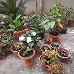 Ampio Appartamento In Centro