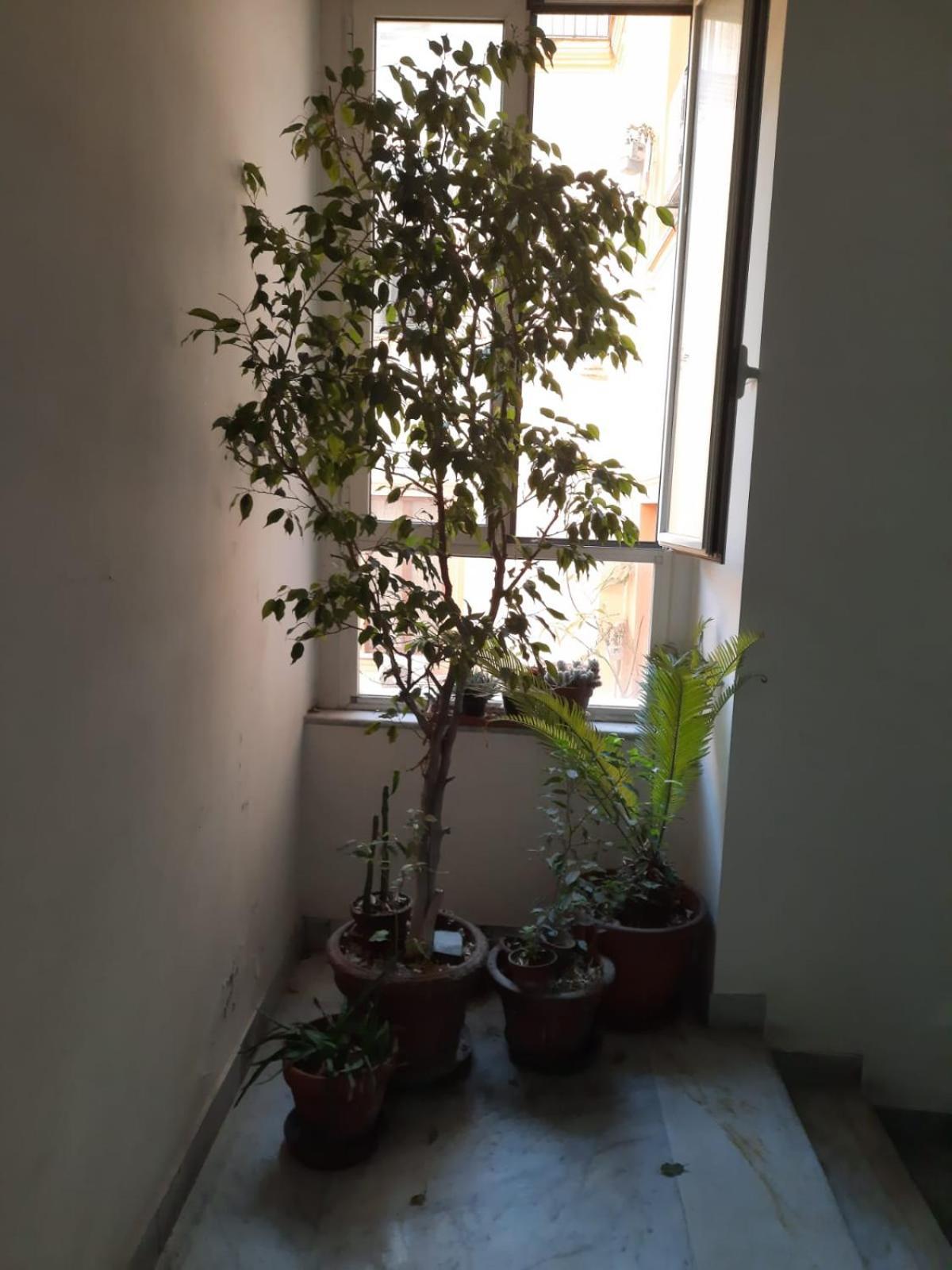 Ampio In Centro Naples