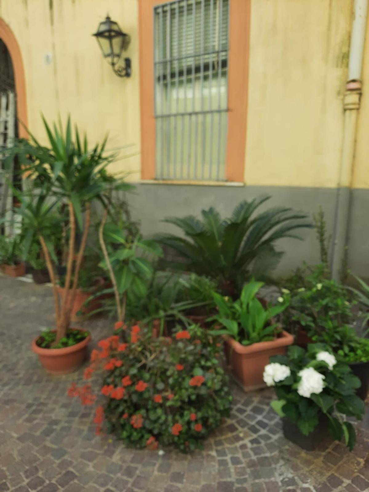 Apartment Ampio In Centro *