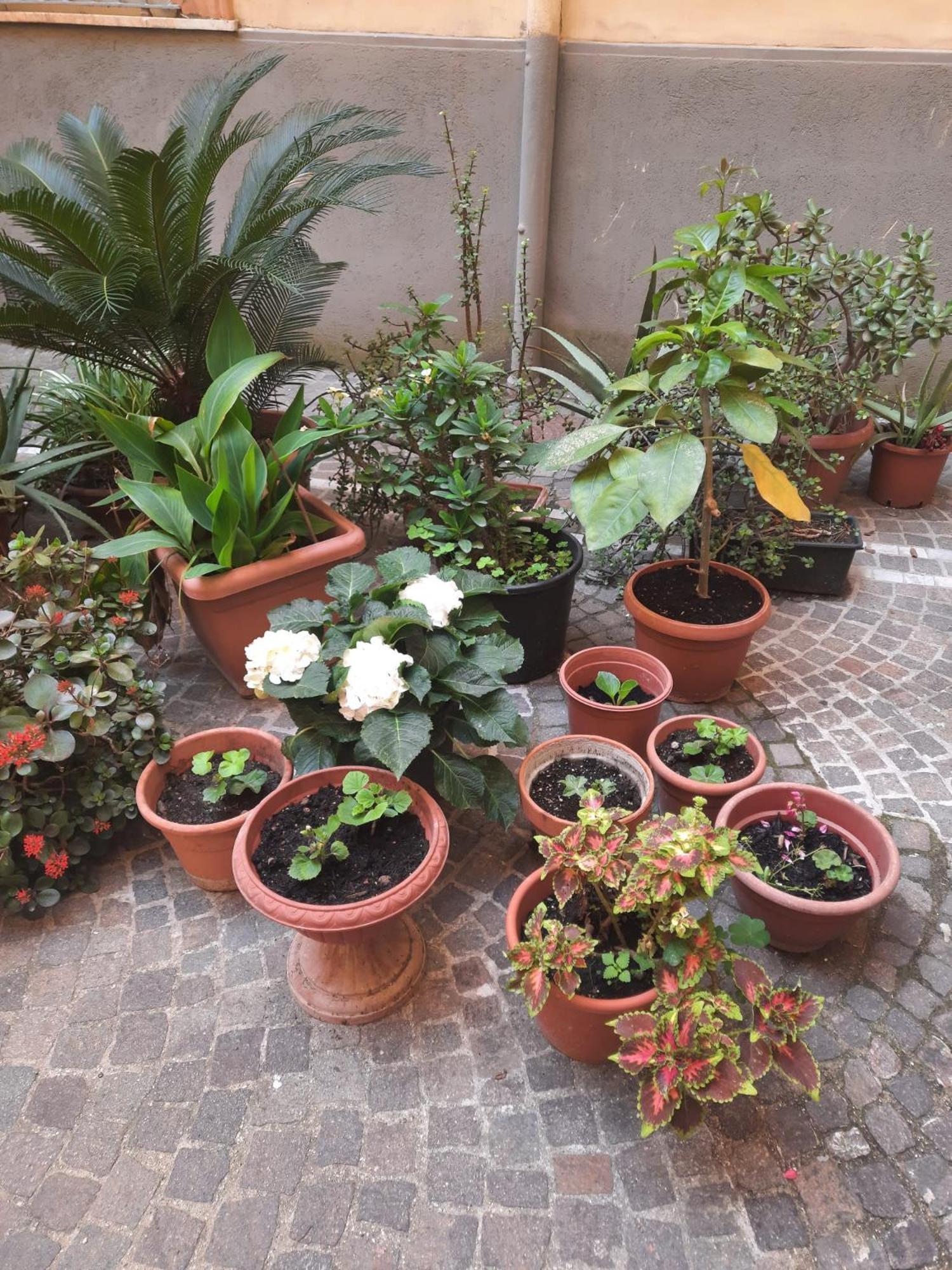 Ampio In Centro Apartment Naples